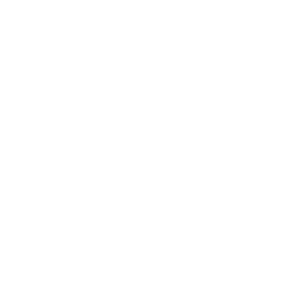 Vivid Mind Wellness