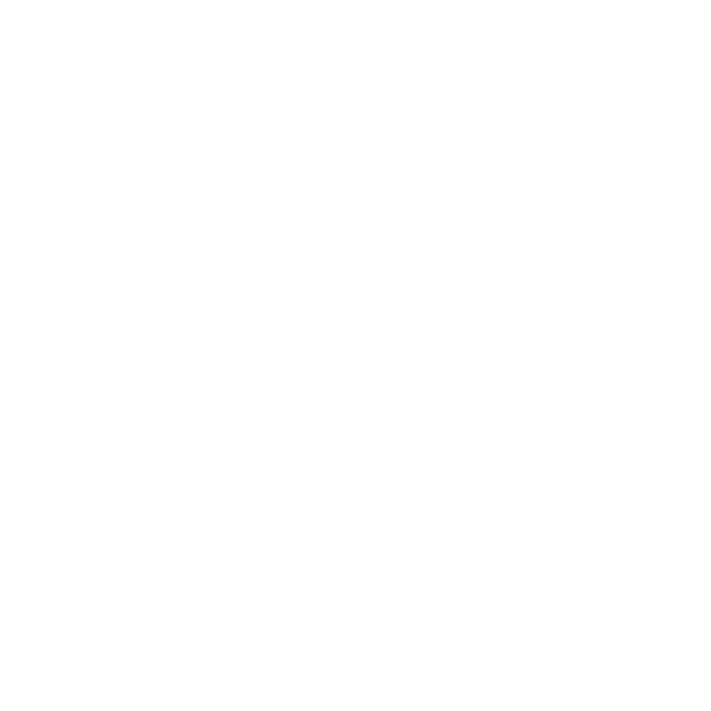 Vivid Minds